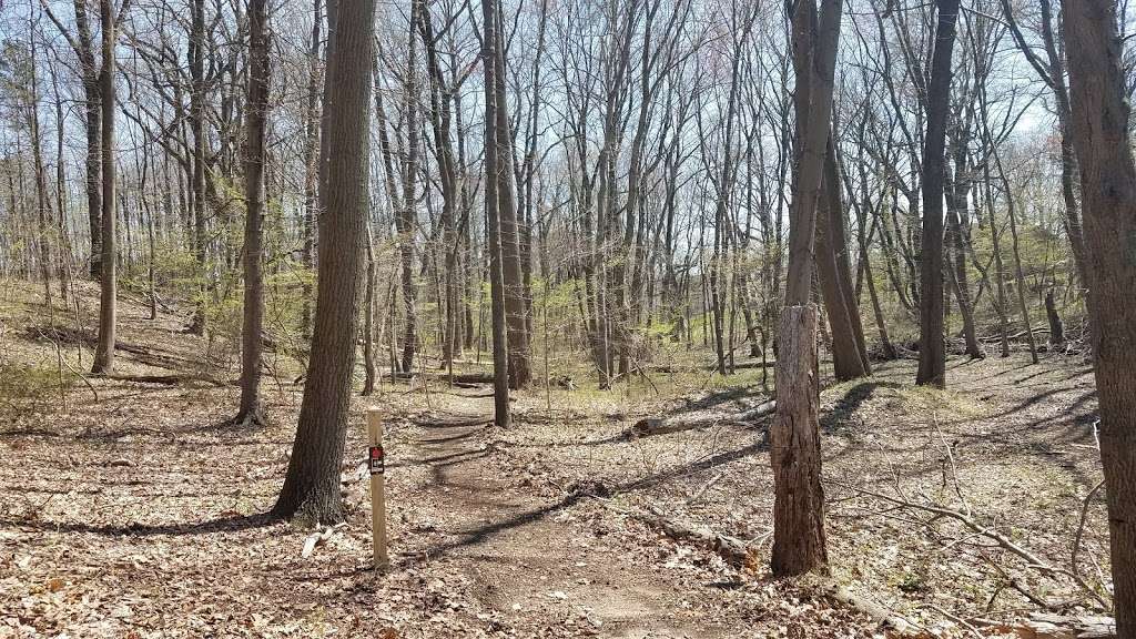 Downs Farm Trail | Cherry Hill, NJ 08003