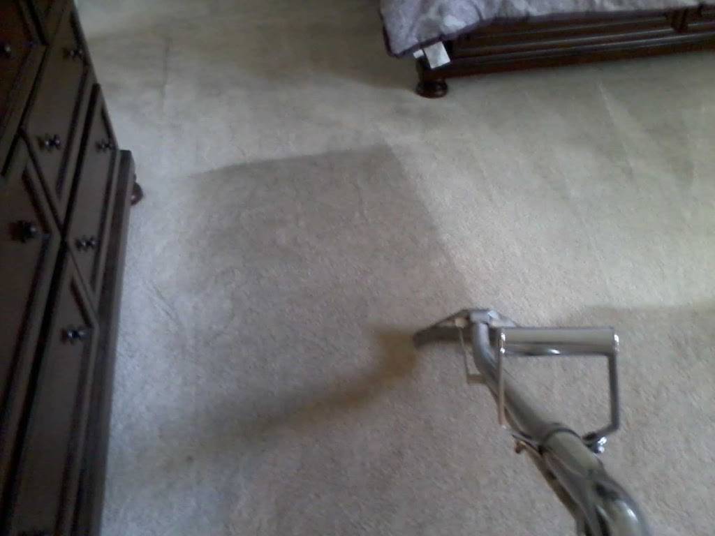 Quality Carpet and Upholstery Cleaners | 961 Cuchara St, Denver, CO 80221 | Phone: (720) 480-3091