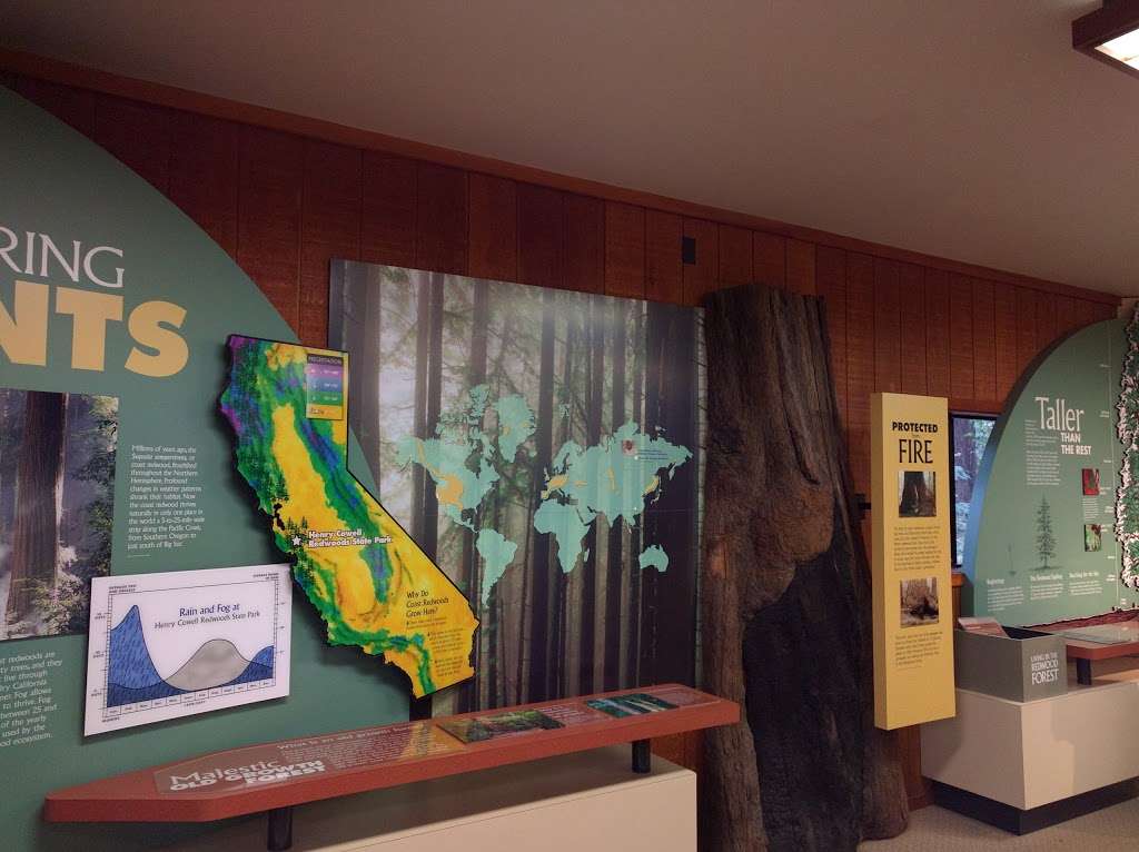 Visitor Center | Redwood Grove Loop Trail, Felton, CA 95018, USA | Phone: (831) 335-4598