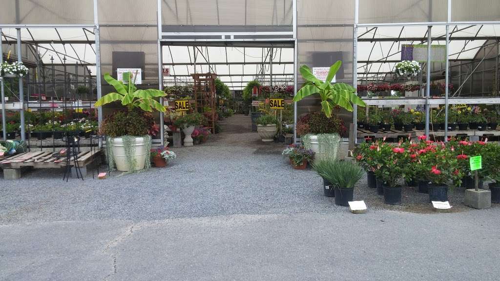 Meadows Farms Nurseries and Landscape | 1725 Berryville Pike, Winchester, VA 22603, USA | Phone: (540) 722-4141