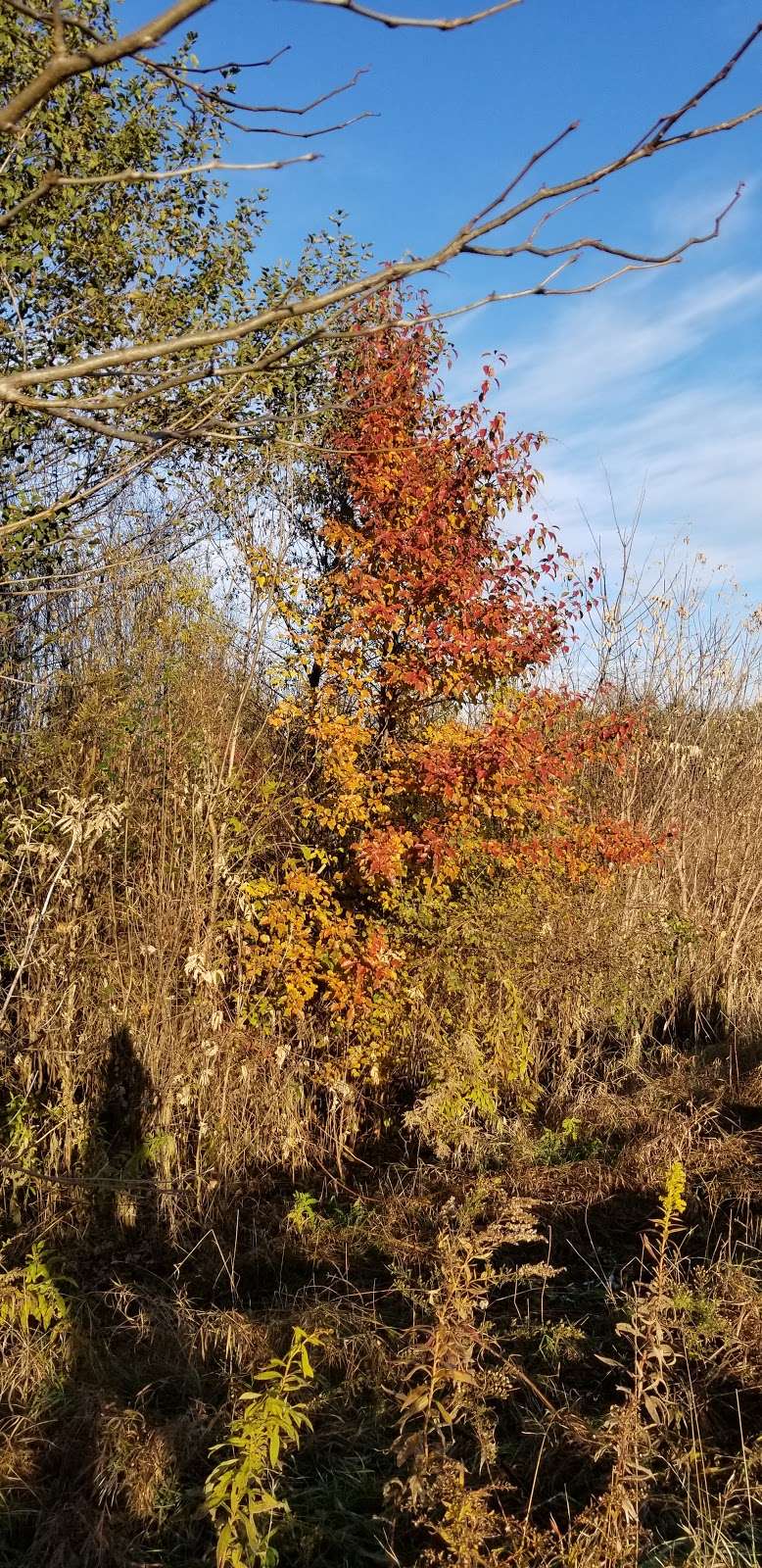 Virgil Gilman Nature Trail | Virgil Gilman Nature Trail, Aurora, IL 60506, USA