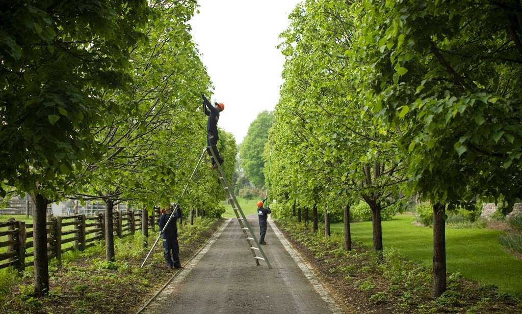 SavATree - Tree Service & Lawn Care | 30W310 Butterfield Rd, Warrenville, IL 60555, USA | Phone: (630) 821-7752