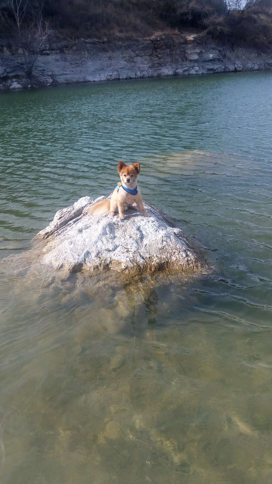 Nessie in the Quarry Pond at Tom Slick Park | 7620 NW Loop 410, San Antonio, TX 78245, USA