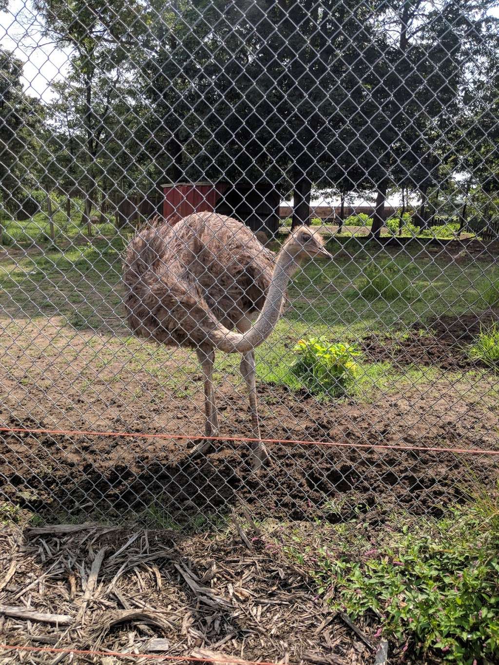 Wilsons Wild Animal Park | 985 W Parkins Mill Rd, Winchester, VA 22602, USA