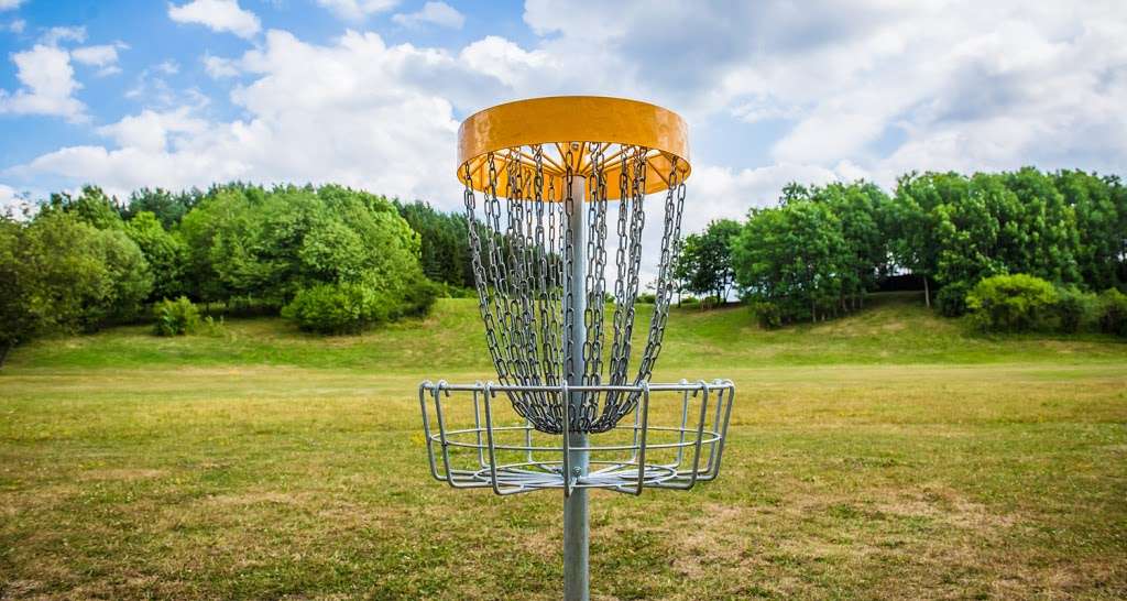 Disc Golf Shopping | 218 Middleton Ct, Elgin, IL 60124 | Phone: (847) 754-8724