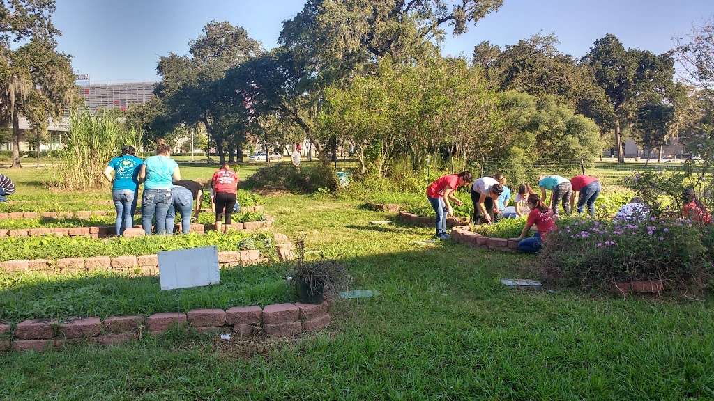 Campus Community Garden | Cullen Boulevard and Wheeler Avenue, Cullen Blvd, Houston, TX 77004, USA