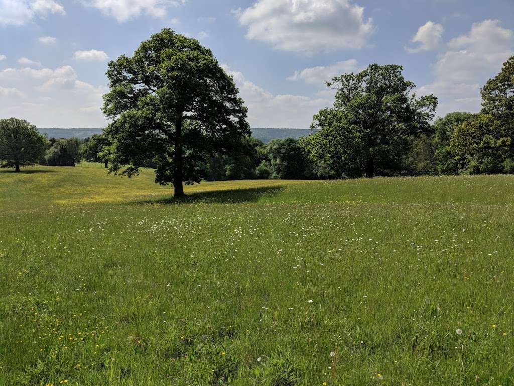 The View @ Heasmans | Hartfield Rd, Forest Row RH18 5JZ, UK | Phone: 07729 423095