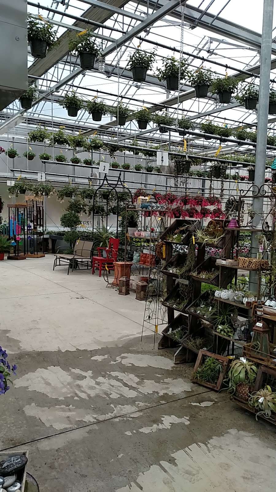 Lake Street Garden Center llc | 37 Lake St, Salem, NH 03079 | Phone: (603) 893-5858