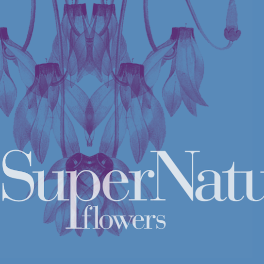 SuperNature Flowers | 21 Claylands Pl, London SW8 1NL, UK | Phone: 07709 340429