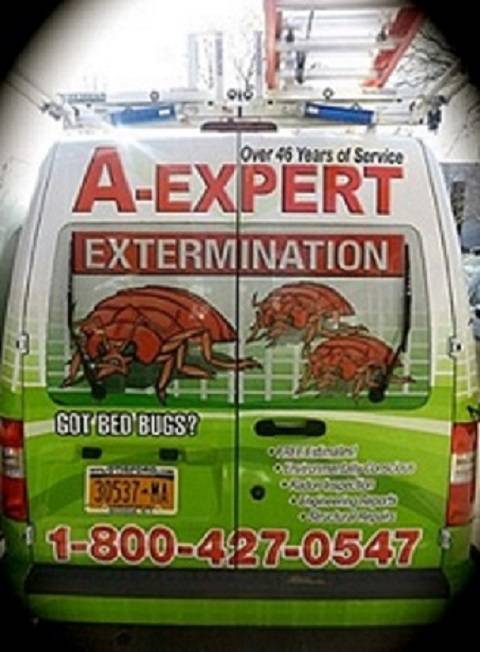 A-Expert Extermination & Termite Control Co., Inc. | 1782 Coney Island Ave, Brooklyn, NY 11230, USA | Phone: (718) 339-4707