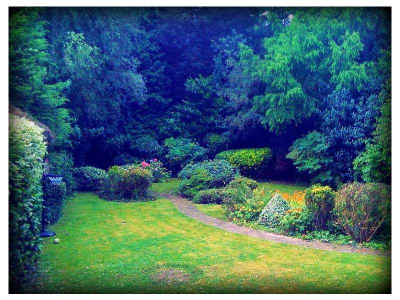 New Gardens of Eden | 21 Maple Ave, London E4 8RR, UK | Phone: 07956 424709