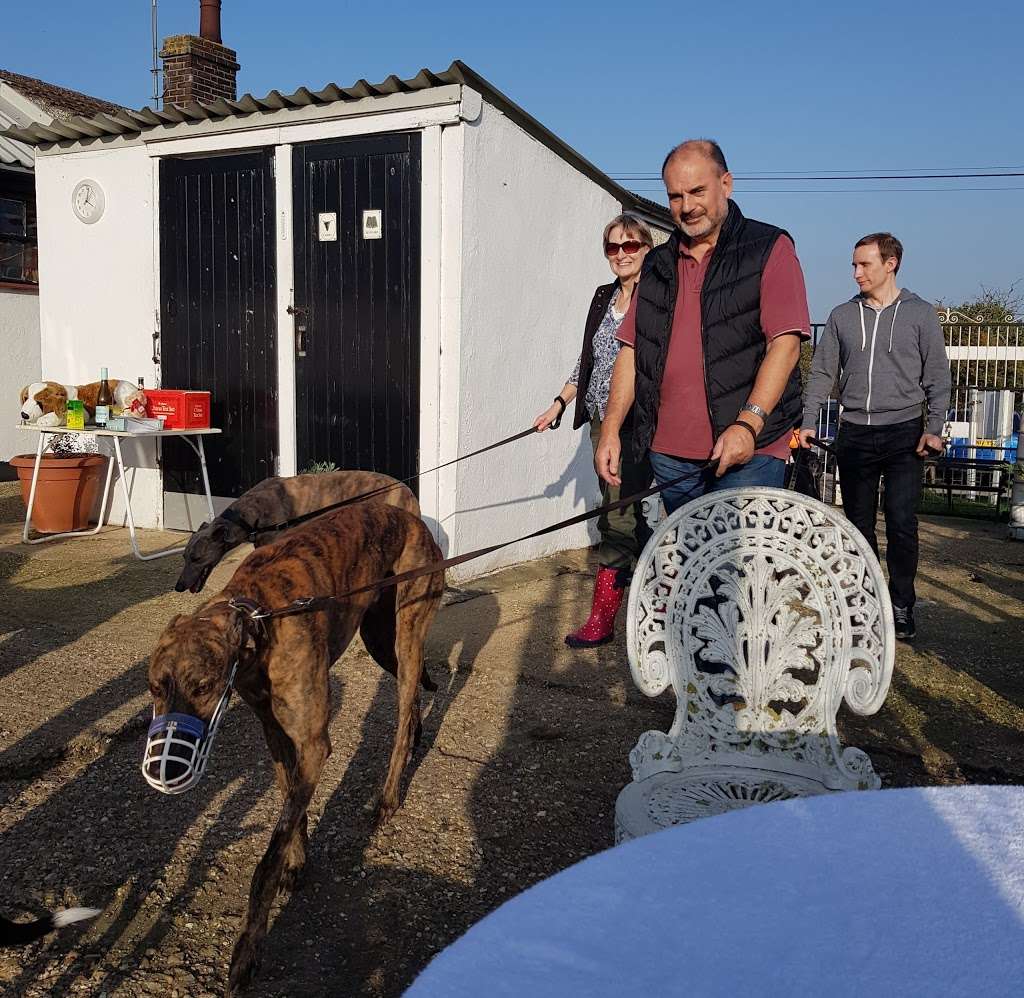 Whittingham Kennels Greyhound Trust Henlow and Waltham Abbey in 6