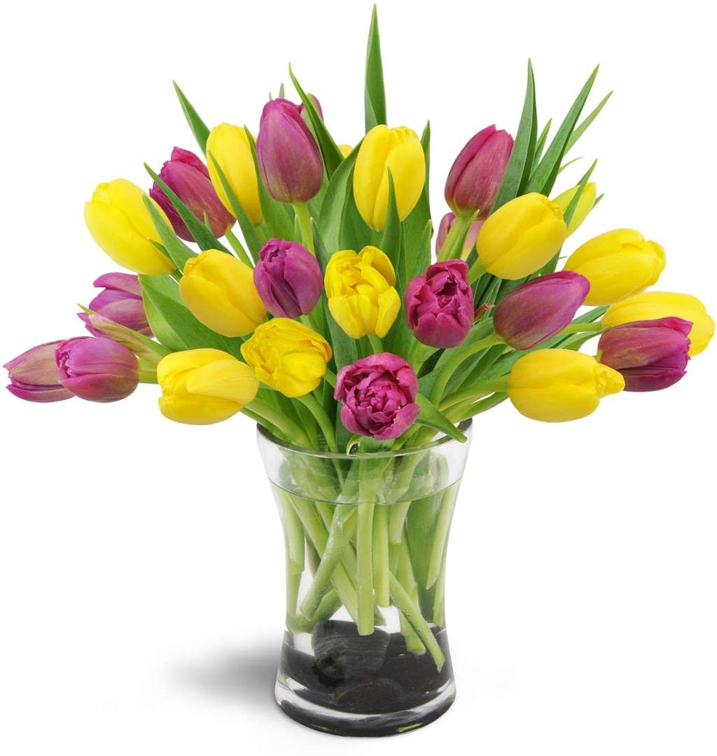 Norwood Florist | 1313, 55 Oak St suite b, Norwood, NJ 07648 | Phone: (201) 224-3227