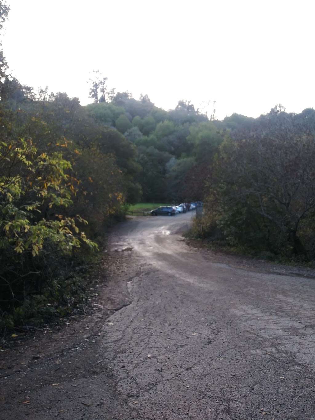 Loop Road Parking | Charles Lee Tilden Regional Park, Berkeley, CA 94708