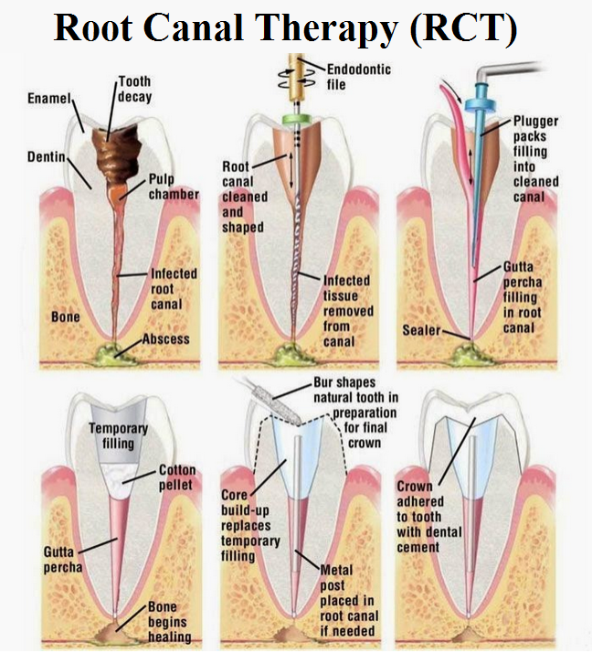 Dentistry For You-19th Ave | 5501 N 19th Ave #206, Phoenix, AZ 85015, USA | Phone: (602) 249-4465