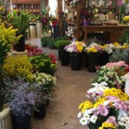 Nolans Flowers & Gifts | 258 Commonwealth Ave, Attleboro Falls, MA 02763, USA | Phone: (508) 695-7083