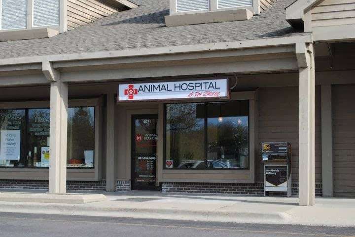 Animal Hospital At The Shores | 5071 Shoreline Rd, Lake Barrington, IL 60010, USA | Phone: (847) 842-5000