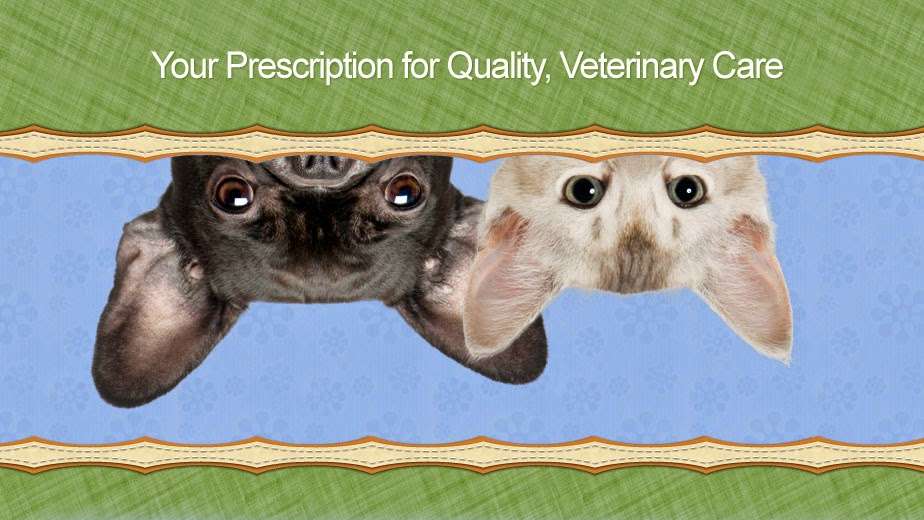 Camden Pet Hospital | 4960 Camden Ave, San Jose, CA 95124, USA | Phone: (408) 265-2200