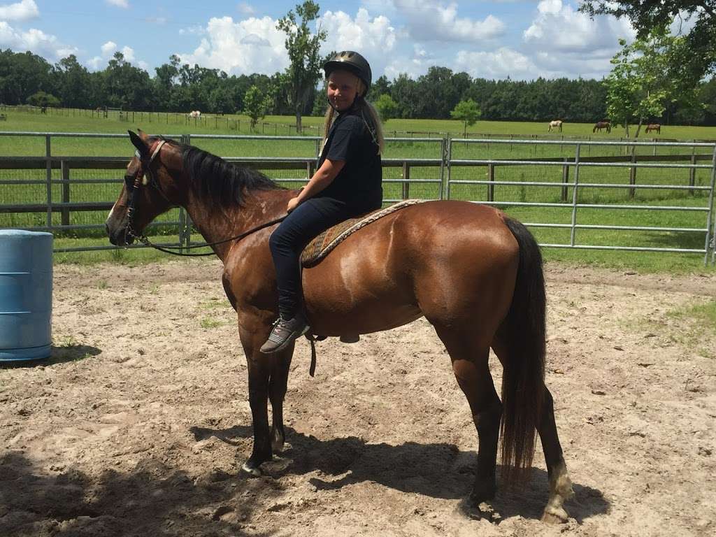 Deep Creek Stables | 2270 S Co Rd 3, Pierson, FL 32180, USA | Phone: (386) 985-0520