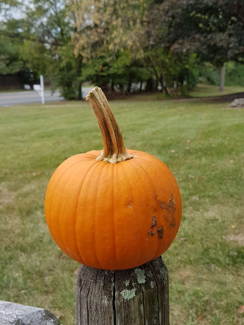 Melicks Town Farm | 351 NJ-28, Bridgewater, NJ 08807, USA | Phone: (908) 725-0225