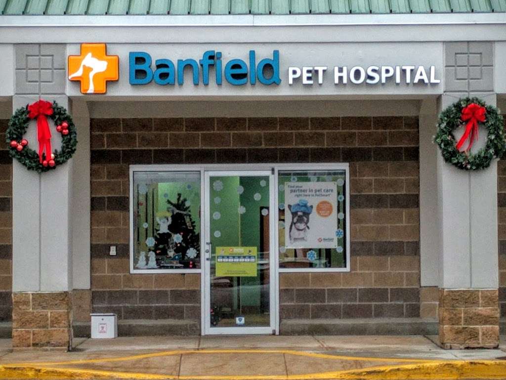 Banfield Pet Hospital | 213 Hartford Ave, Bellingham, MA 02019, USA | Phone: (508) 966-4365