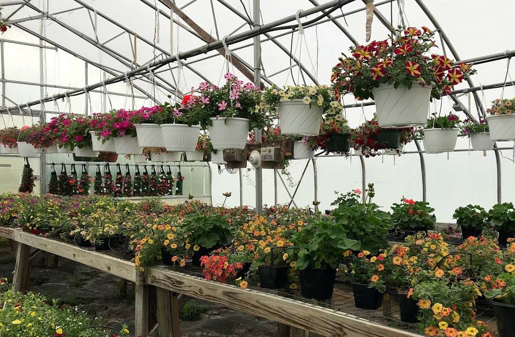 Cline Greenhouse | 482 Blake Rd, Elkton, MD 21921, USA | Phone: (410) 398-7023