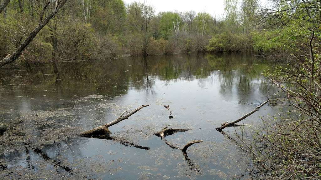 Caratunk Wildlife Refuge - Audubon Society of RI | 301 Brown Ave, Seekonk, MA 02771 | Phone: (401) 245-7500 ext. 3201