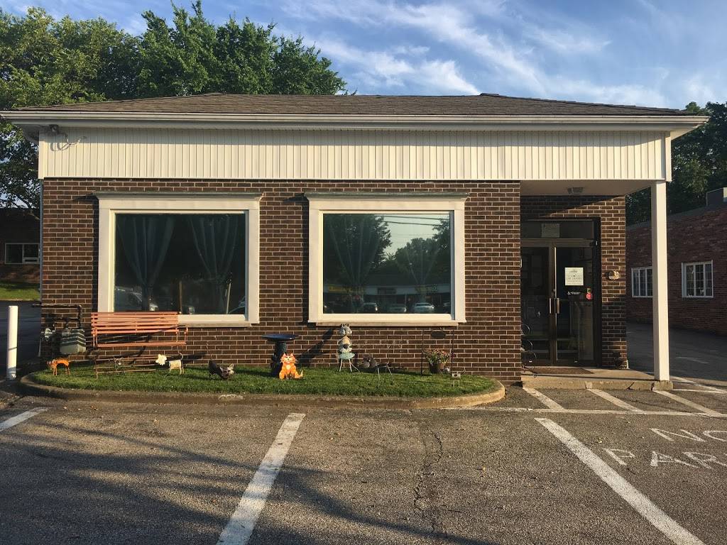 Nine Lives Cat Clinic | 25990 Highland Rd, Cleveland, OH 44143 | Phone: (216) 738-1942