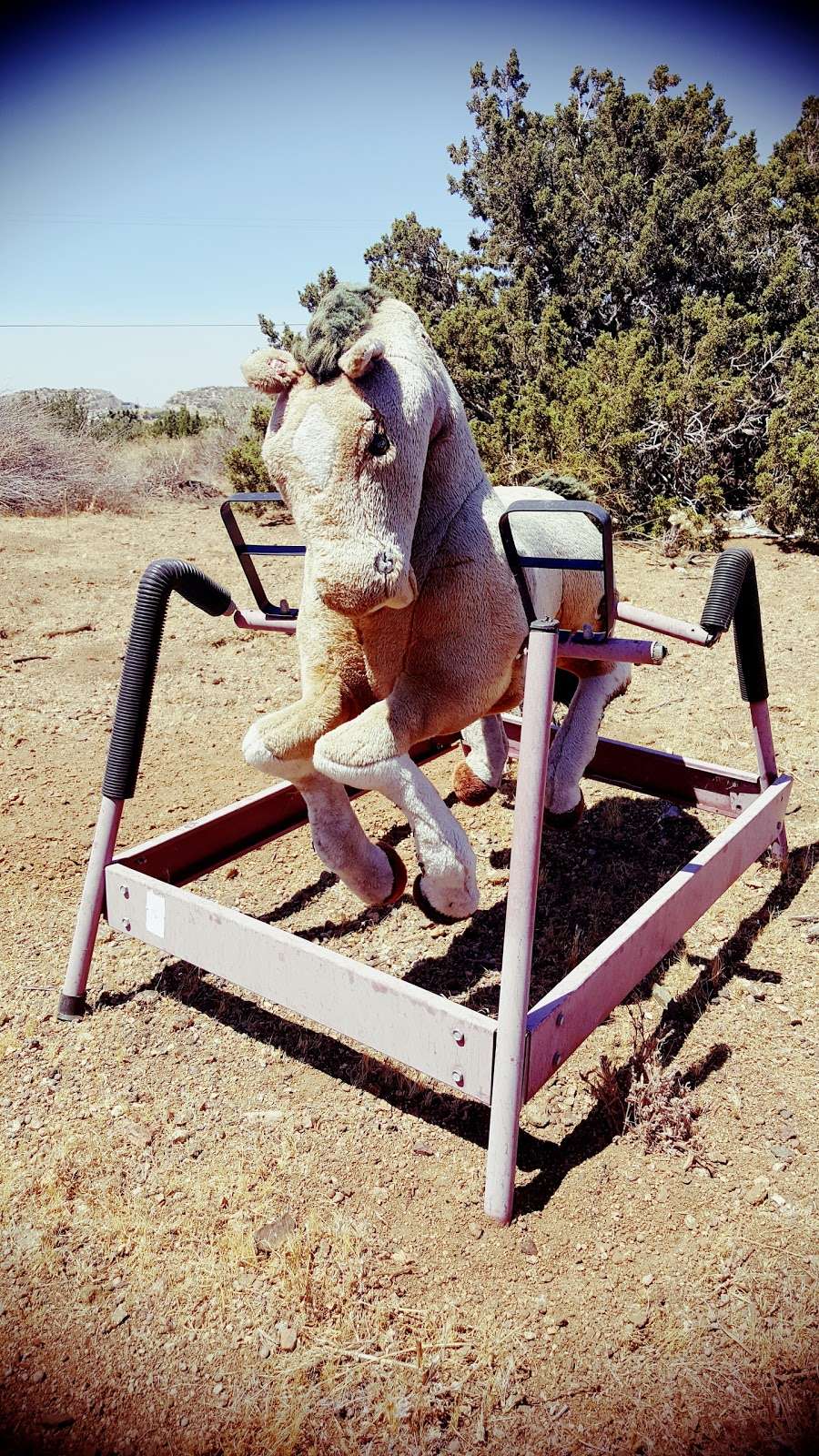 Lonely Rocking Horse | 161 Hacienda Dr, Palmdale, CA 93551