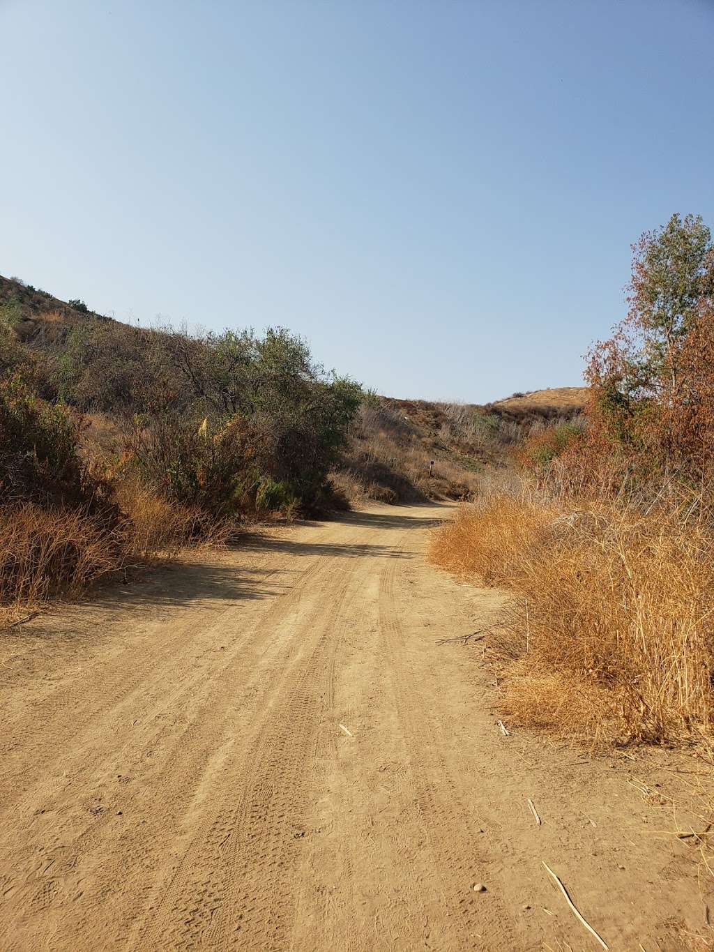 Redwood Grove | Redwood Grove Trail, Yorba Linda, CA 92886, USA