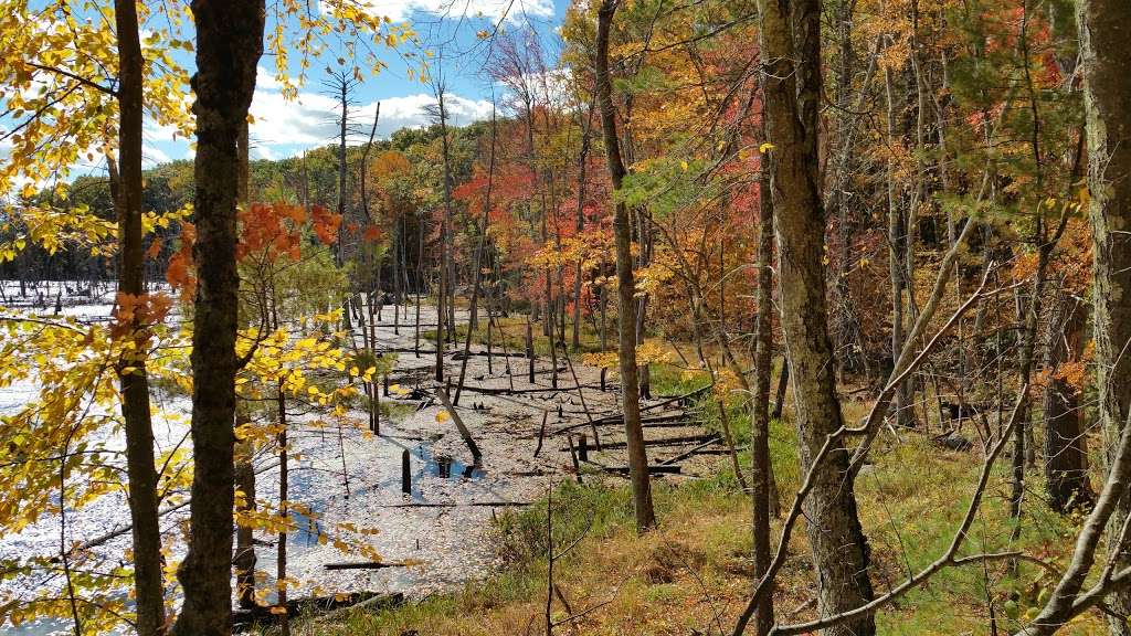 Mass Audubons Rocky Hill Wildlife Sanctuary | Cardinal Lane, Groton, MA 01450, USA | Phone: (978) 464-2712