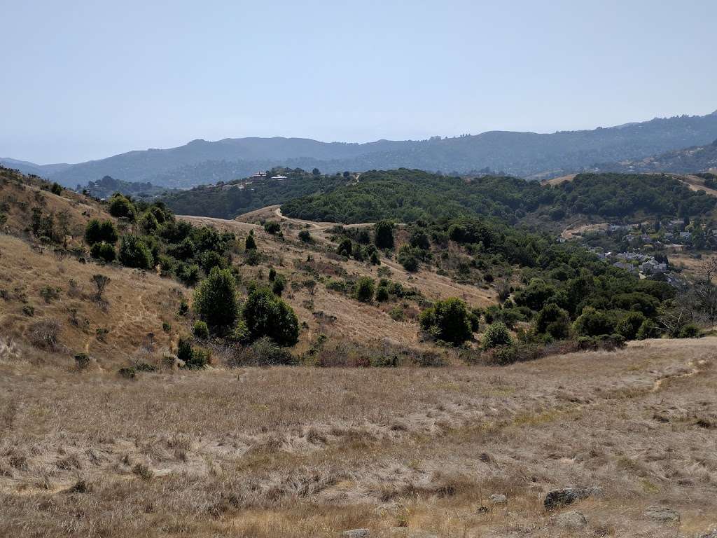 Tiburon Ridge Open Space Preserve | Corte Madera, CA 94925