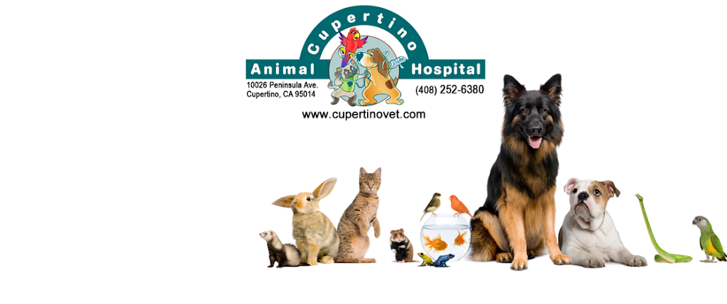 Cupertino Animal Hospital | 10026 Peninsula Ave, Cupertino, CA 95014 | Phone: (408) 252-6380