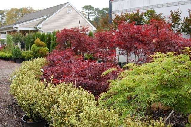 Hammetts Landscaping & Garden Center | 425 S Main St, Forked River, NJ 08731, USA | Phone: (609) 971-0453