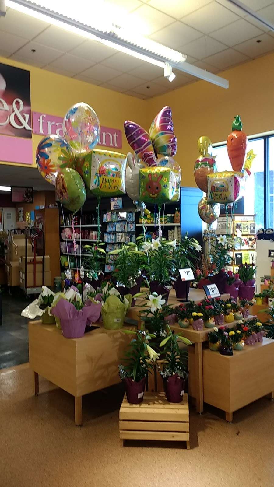 Stop & Shop | 278 Washington St, Stoughton, MA 02072 | Phone: (781) 341-1797