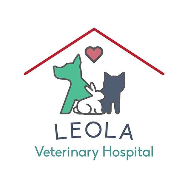 Leola Veterinary Hospital | 2457 New Holland Pike, Lancaster, PA 17601, USA | Phone: (717) 656-9754