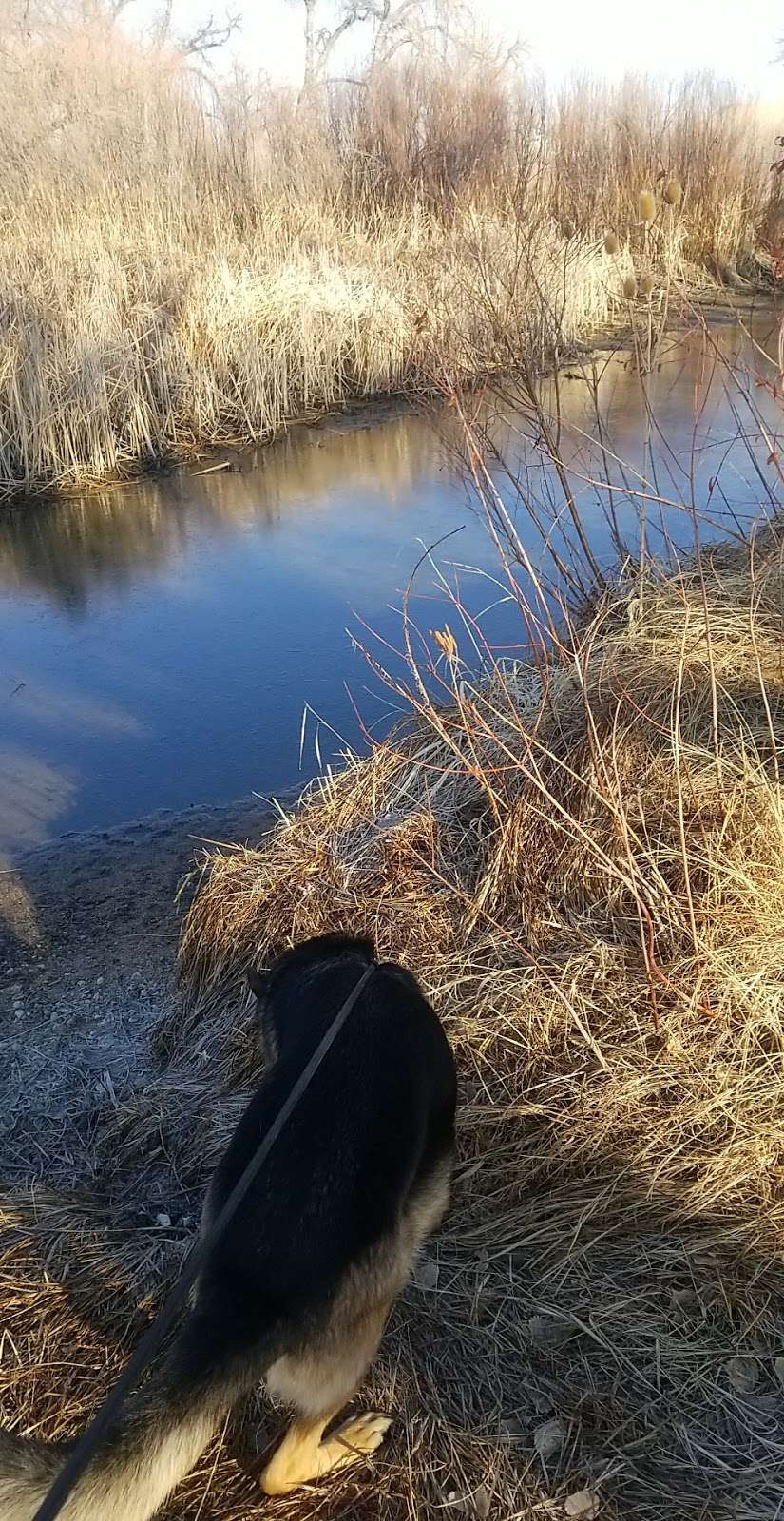 Frank State Wildlife Trailhead | Poudre River Trail, Windsor, CO 80550, USA