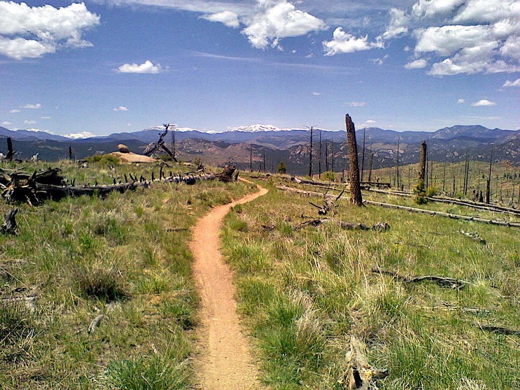 Nice Kitty Trail | Pine, CO 80470, USA