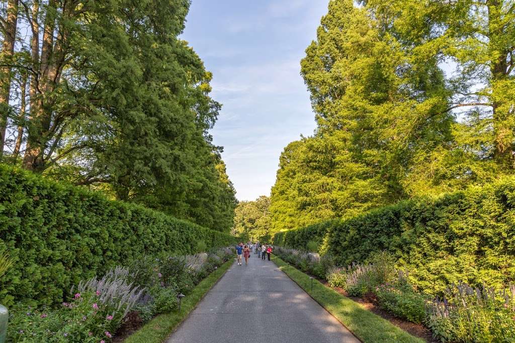 Rose Arbor | 19348, Kennett Square, PA 19348, USA