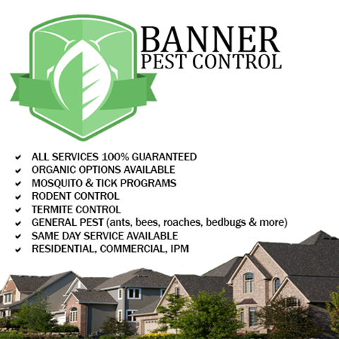 Banner Pest Control | 27 O St, Dracut, MA 01826, USA | Phone: (978) 453-3660