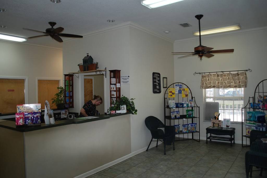 Ark Animal Hospital | 12585 Philips Hwy, Jacksonville, FL 32256 | Phone: (904) 886-2751