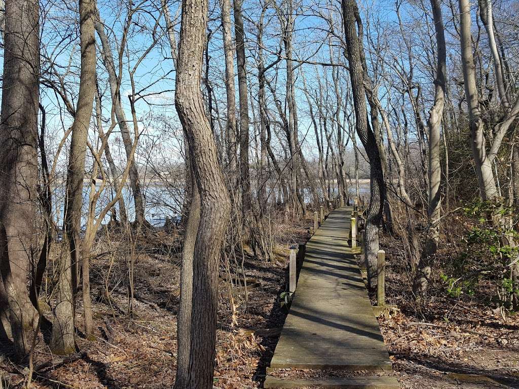 Jug Bay Wetlands Sanctuary | 9740, 1361 Wrighton Rd, Lothian, MD 20711, USA | Phone: (410) 741-9330