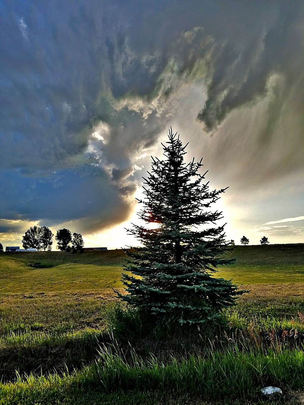 Nelson Farm Park - Ball Fields | 671 Telep Ave, Johnstown, CO 80534, USA