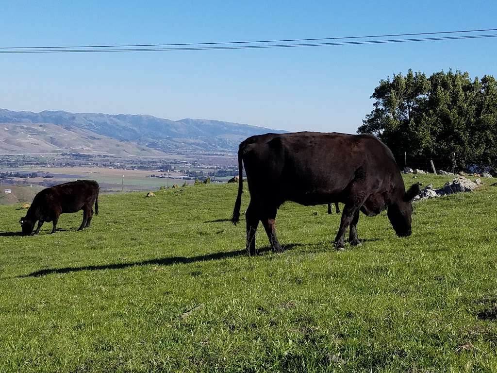 Santa Teresa County Park | Bernal Rd, San Jose, CA 95120 | Phone: (408) 225-0225