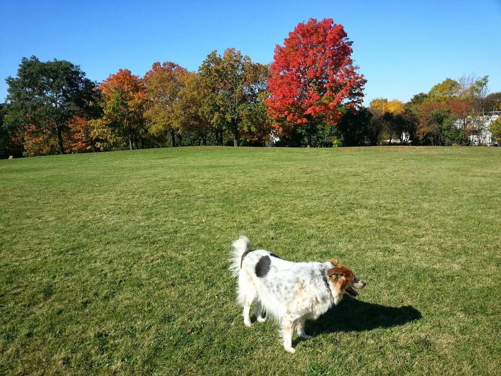 Currie Dog Park | 3535 N Mayfair Rd, Wauwatosa, WI 53222, USA | Phone: (414) 257-7275