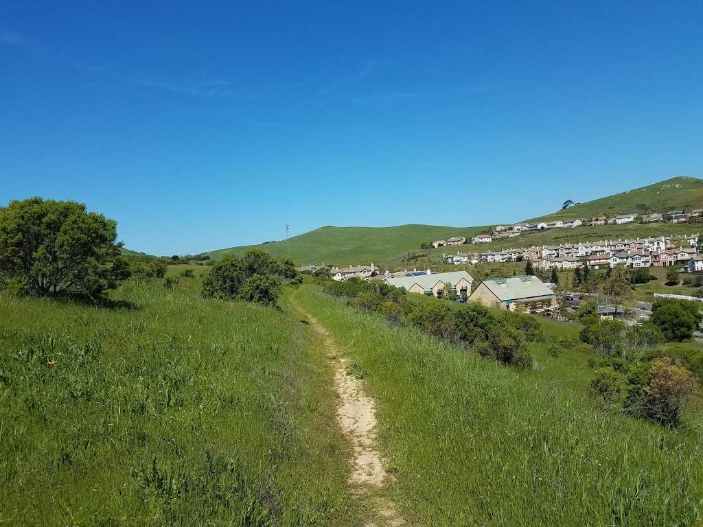 Bay Area Ridge Hiddenbrooke Trailhead | Ridge Trail, Vallejo, CA 94591, USA | Phone: (415) 561-2595