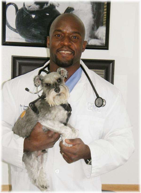 The Vets Animal Hospital | 8395 Elati St, Denver, CO 80221, USA | Phone: (303) 429-6594