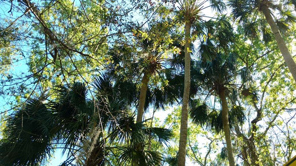 Gemini Springs South Trailhead | DeBary, FL 32713, USA