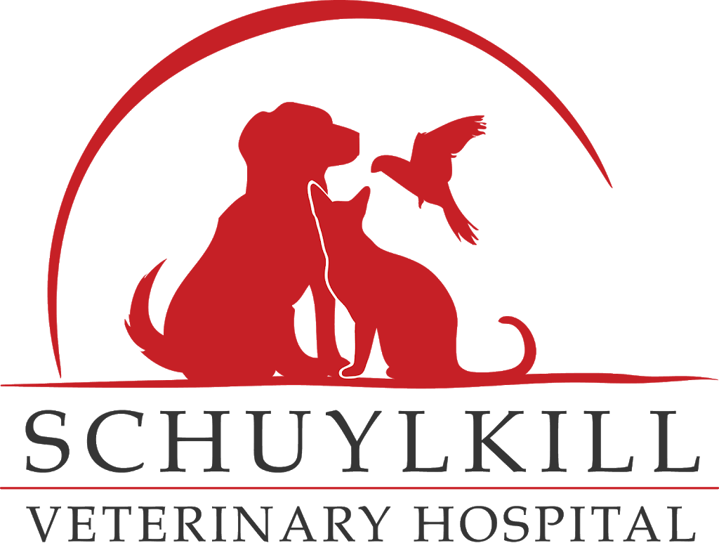 Schuylkill Veterinary Hospital | 1170 RT South 61, Pottsville, PA 17901, USA | Phone: (570) 622-1098