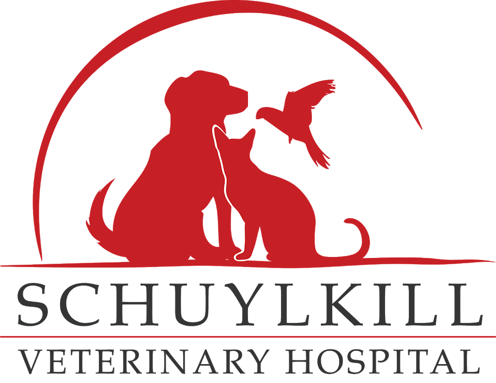 Schuylkill Veterinary Hospital | 1170 RT South 61, Pottsville, PA 17901 | Phone: (570) 622-1098